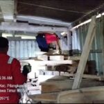 Evakuasi Ular Sanca di Pilangkenceng, Damkar Madiun Gerak Cepat